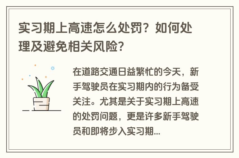 实习期上高速怎么处罚？如何处理及避免相关风险？