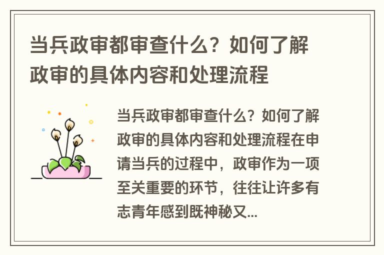 当兵政审都审查什么？如何了解政审的具体内容和处理流程