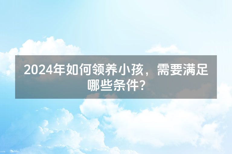 2024年如何领养小孩，需要满足哪些条件？