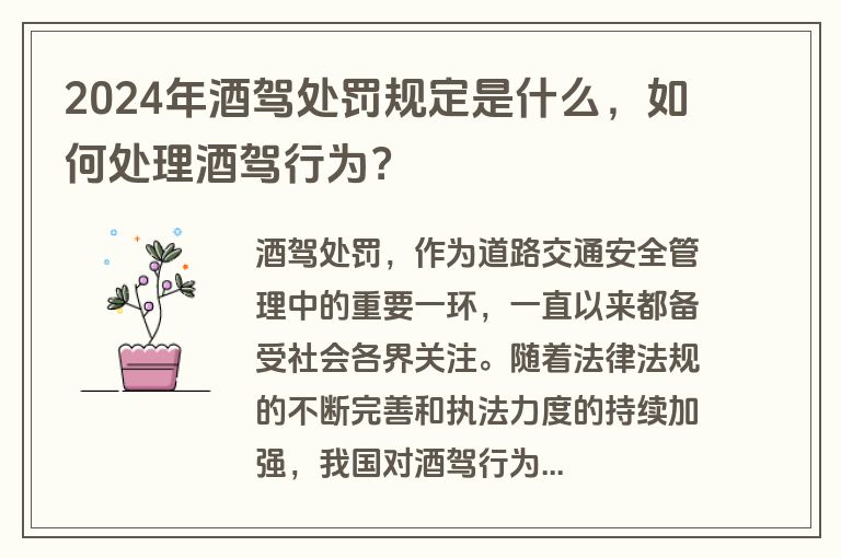 2024年酒驾处罚规定是什么，如何处理酒驾行为？